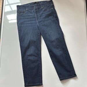 Liverpool Women's Dark Blue Ankle Jeans